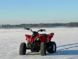 Can-Am DS